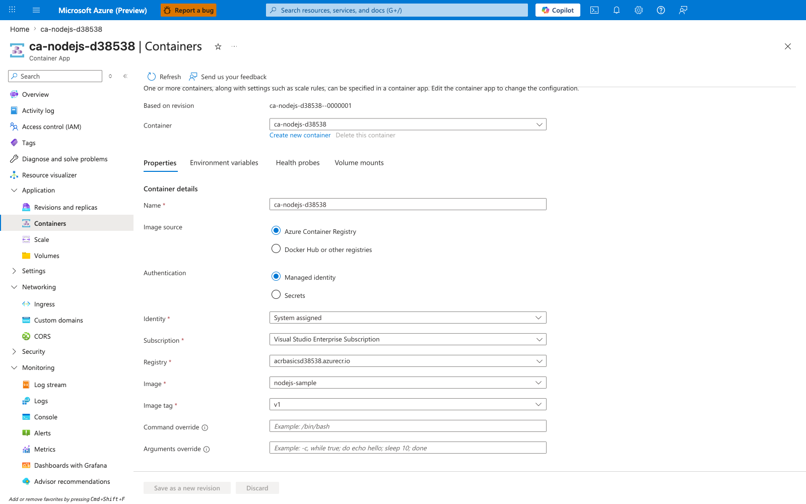 ca-nodejs-d38538 | Container App | Containers | Refresh | Send us your feedback | Container | Properties | Environment variables | Health probes | Volume mounts | Container details | Name | ca-nodejs-d38538 | Image source | Azure Container Registry | Authentication | Managed identity | Subscription | Visual Studio Enterprise Subscription | Registry | acrbasicsd38538.azurecr.io | Image | nodejs-sample | Image tag | v1 | Command override | Arguments override | Application | Revisions and replicas | Containers | Scale | Volumes | Settings | Networking | Ingress | Custom domains | CORS | Security | Monitoring | Log stream | Logs | Console | Alerts | Metrics