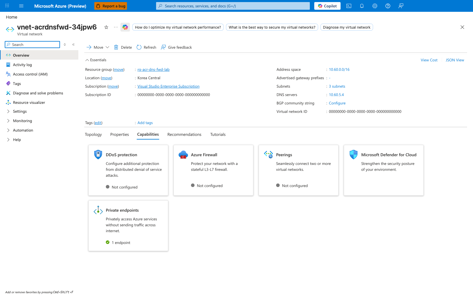 VNet Overview blade showing custom DNS server 10.60.5.4