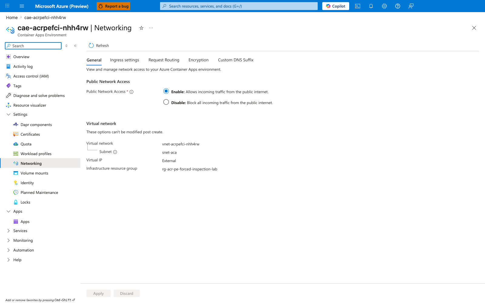 Container Apps environment Networking blade showing VNet integration and workload subnet snet-aca