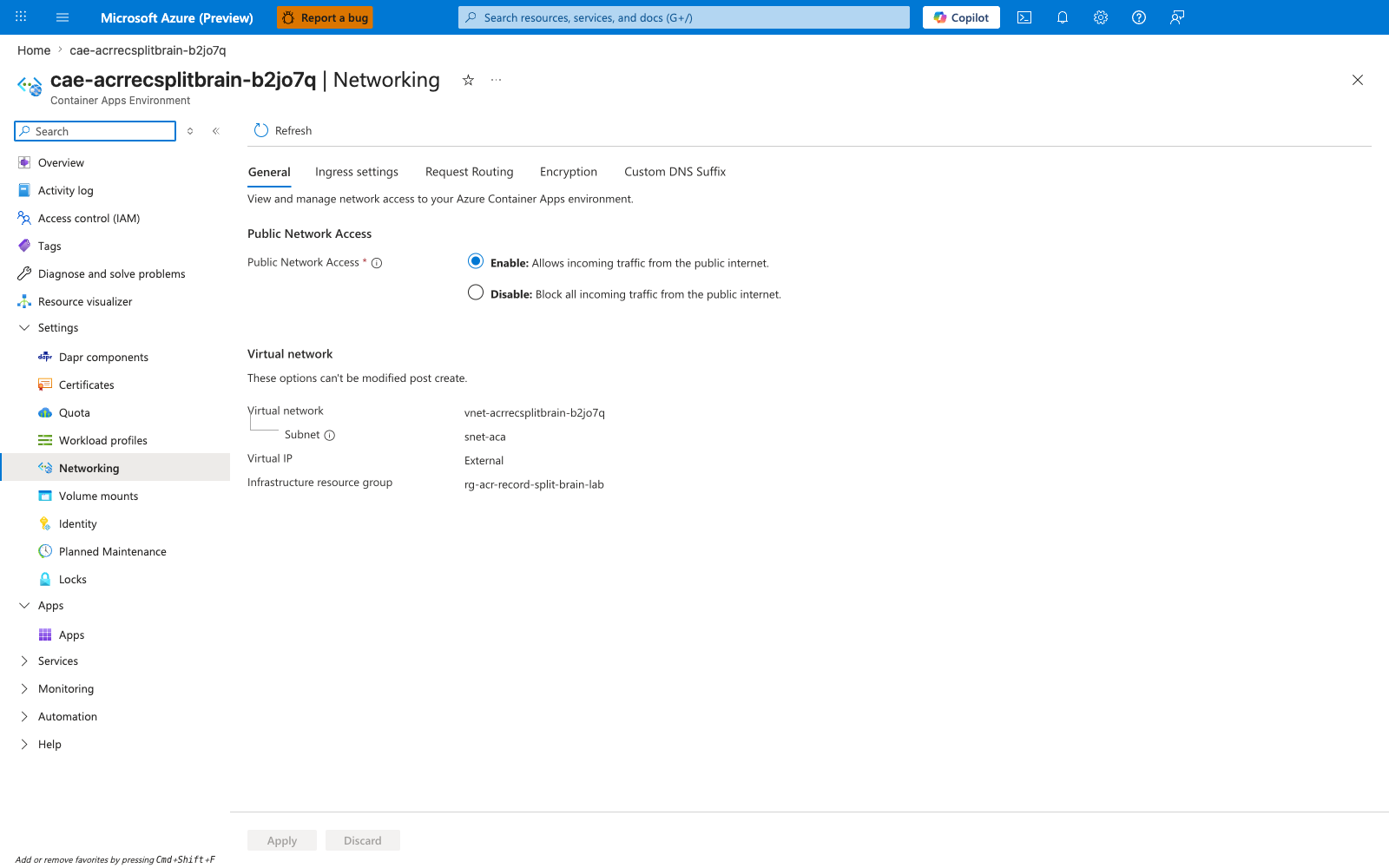 Container Apps environment Networking blade showing VNet integration and workload subnet snet-aca