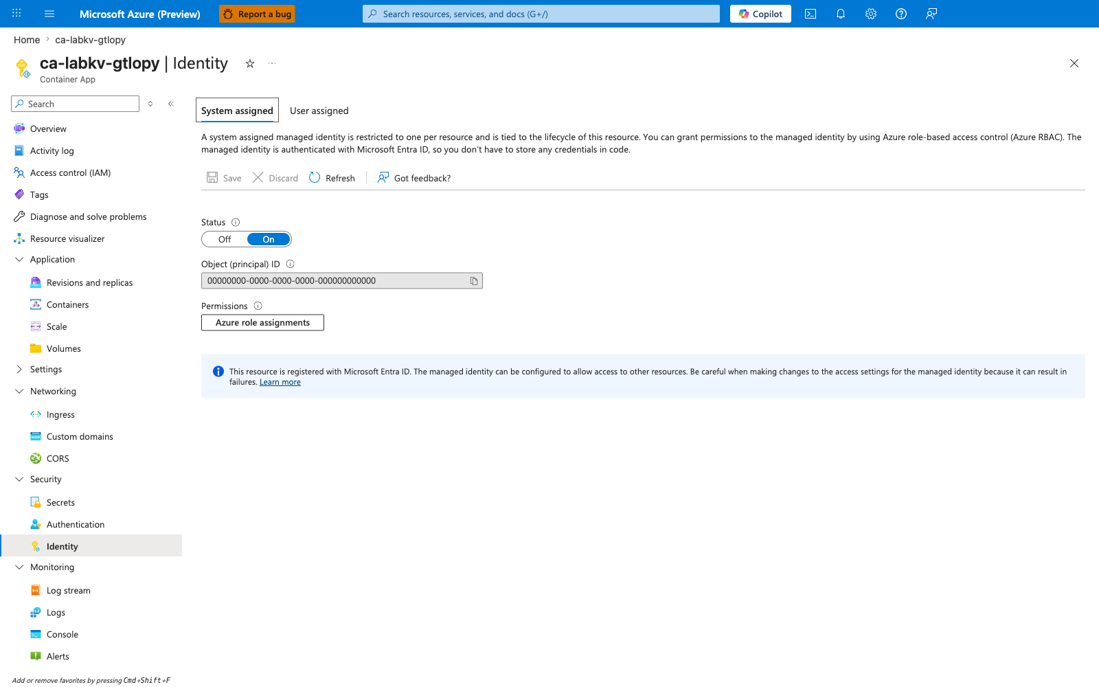 Container App Identity blade with system-assigned managed identity enabled