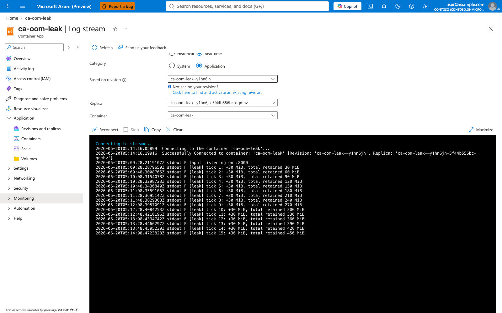 ca-oom-leak Application log stream showing [leak] tick entries