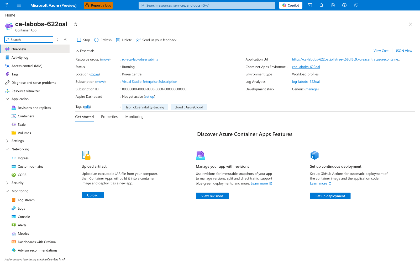 Container App Overview blade for ca-labobs-622oal