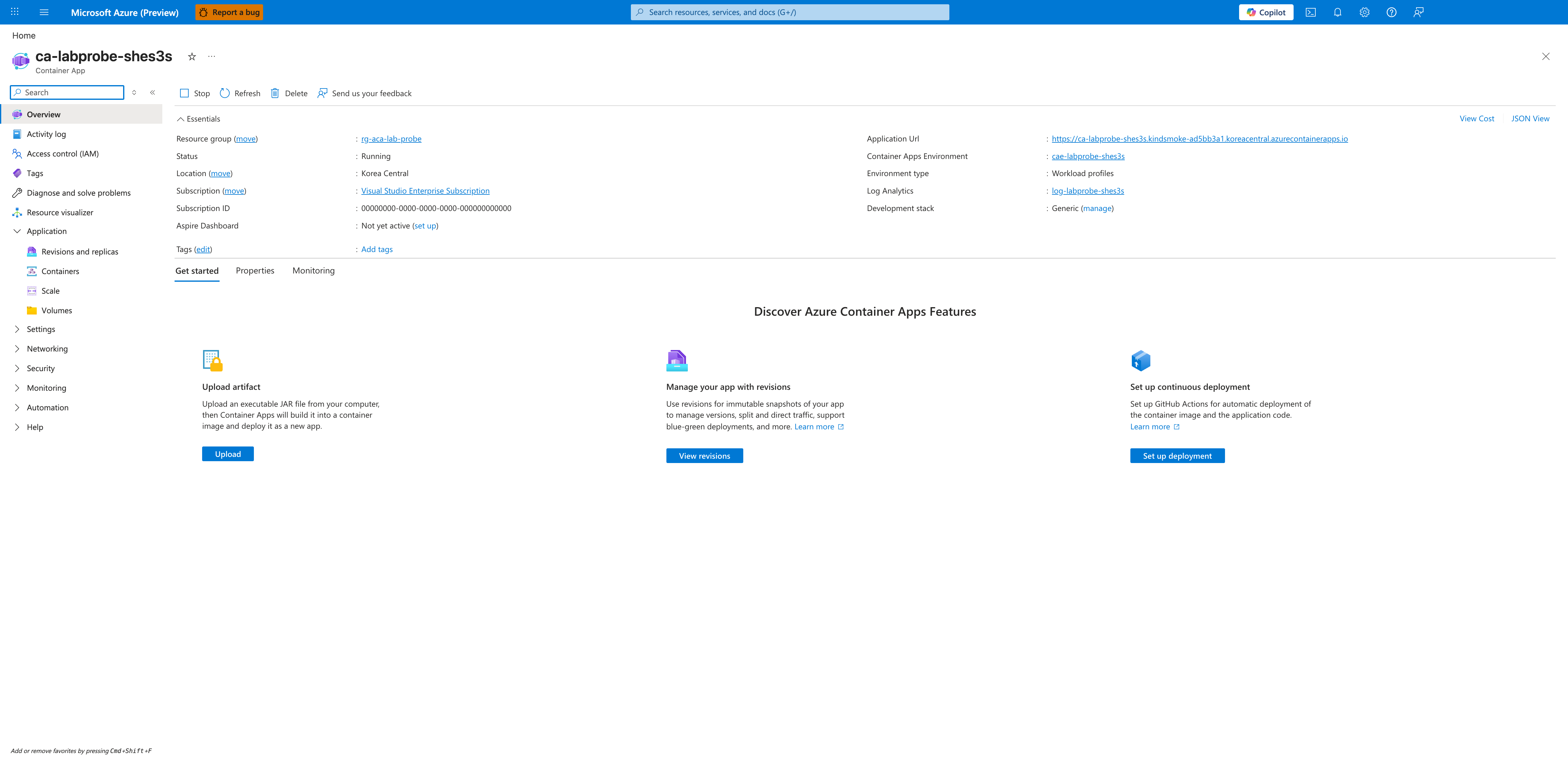 Container App overview blade after fix — Status Running with no platform error banner