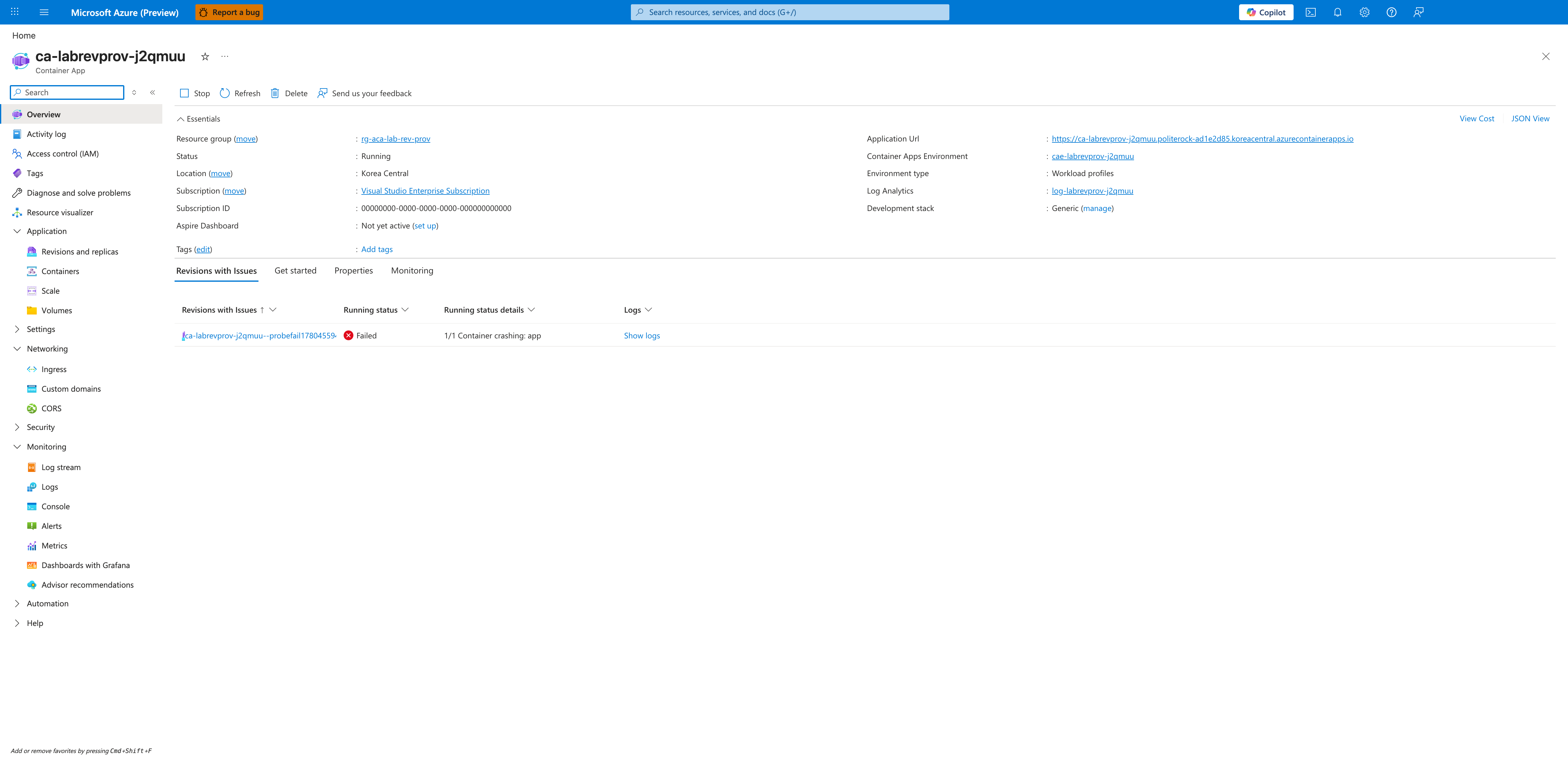 Container App Overview showing the failed revision under Revisions with Issues