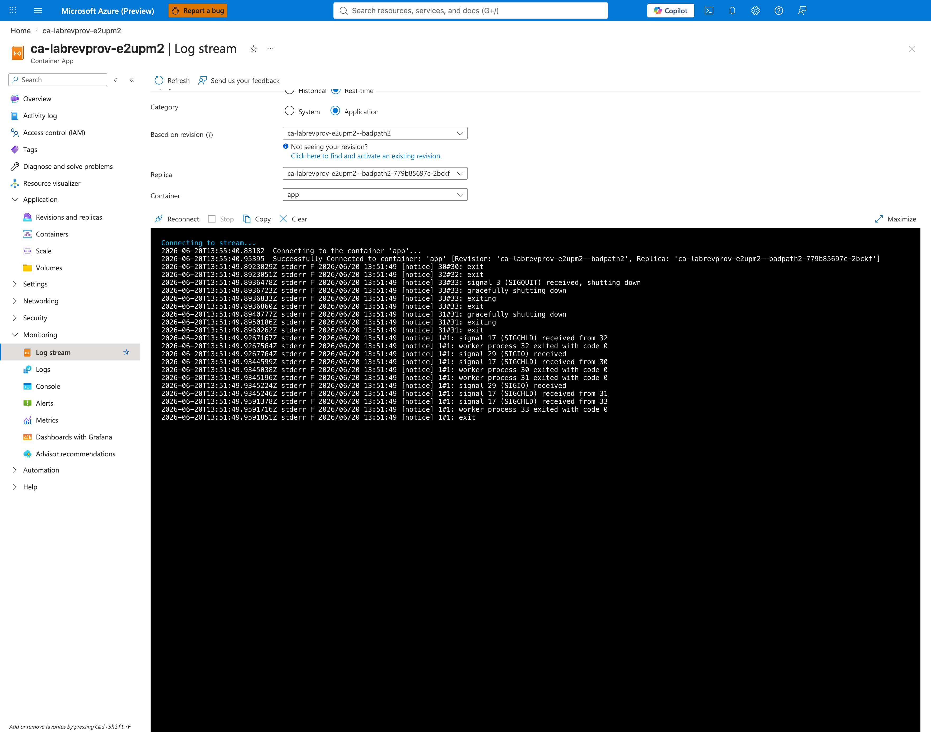 Application log stream showing nginx worker shutdown sequence from probe-induced container kills